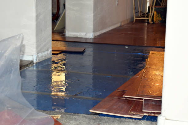 Professional Water Damage technician working in Columbus, TX